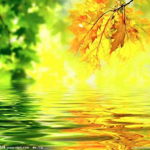 【博雅·袁小】从搭石上走过的新风景——五年级语文教研活动纪实