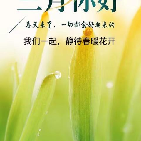 “停课不停教、不停学”澄迈县金江大拉幼儿园中班组居家亲子互动学习第六期简报