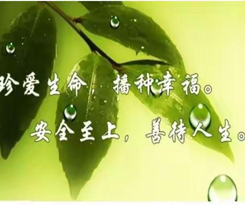 安全是幸福的保障——区实验中学致家长一封信