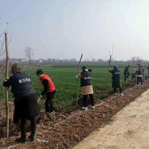 植树增绿正当时  专职网格员掀起义务植树热潮