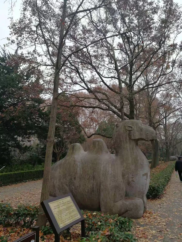 游览钟山风景区