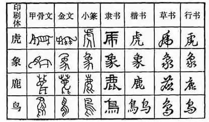 “有趣的汉字”——黄小五四班春雨小组语文综合实践活动