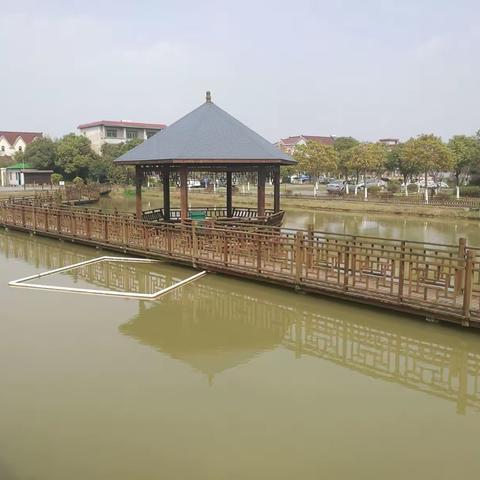 南汇中学77届6班毕业40周年同学会