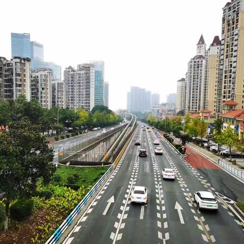 解封，是一个自我管控的开始