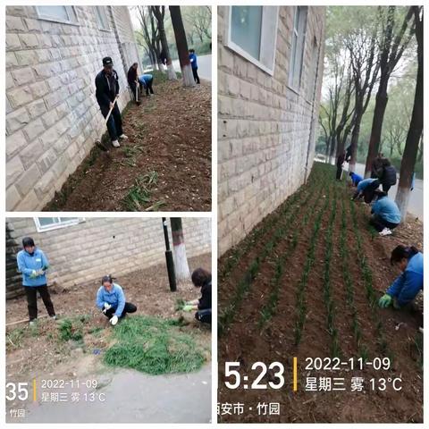 旺财物业高山流水小区2022年 11月物业工作纪实