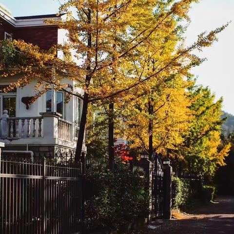 旺财物业高山流水小区2023年10月物业工作纪实