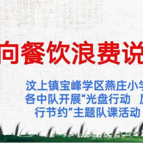 汶上镇宝峰学区燕庄小学开展“厉行节约   反对浪费”主题队课活动