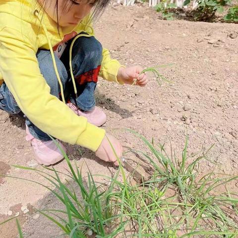 实验小学1、1班韩佳颖五一美篇录