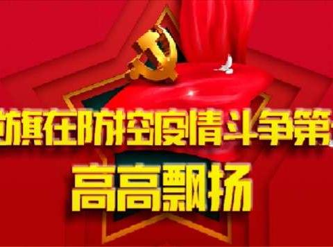 “抗疫”一线的那些人和事   ——延安移动延川分公司党支部（一期）
