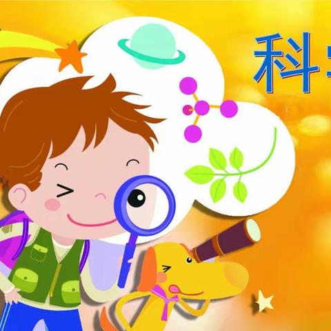 科学实验《筷子提大米》——雅臣小学三年一班主题活动