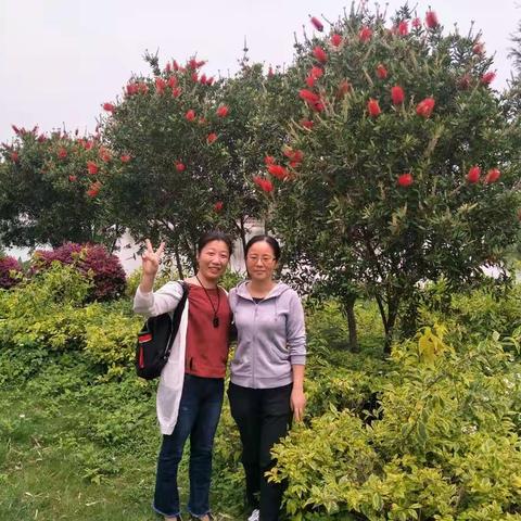 广州海珠湖一游