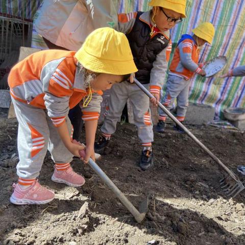 我参与   我快乐！我为二幼添春色！ —— 金川二幼植树节活动