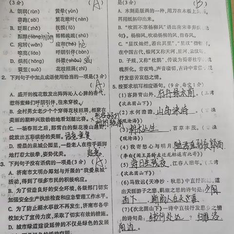 2022级12班4组寒假第一次语文作业展示