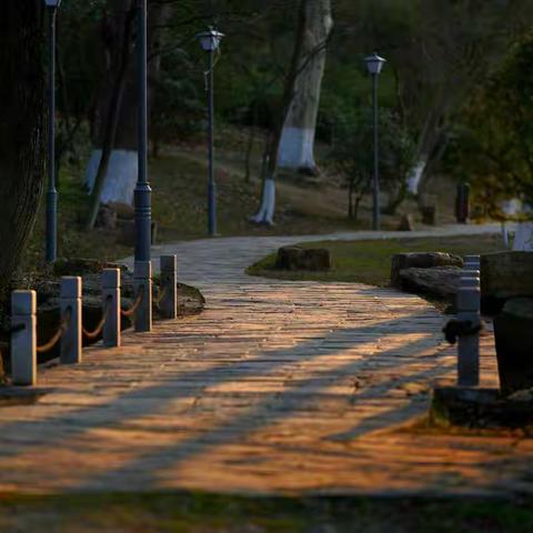 一城山水