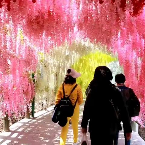 十三朝古都河南之旅