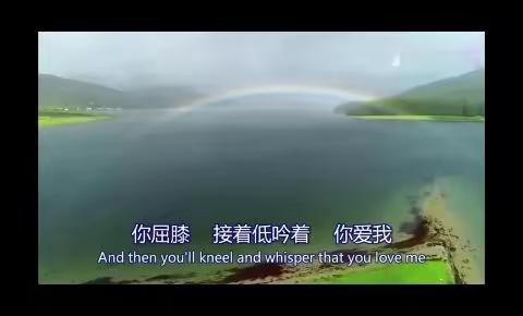 森林的美篇