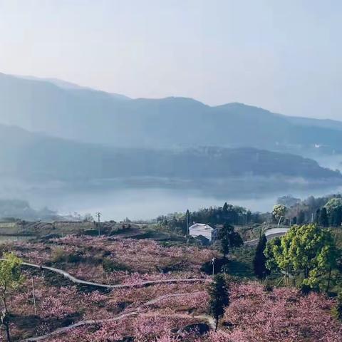 章高岗