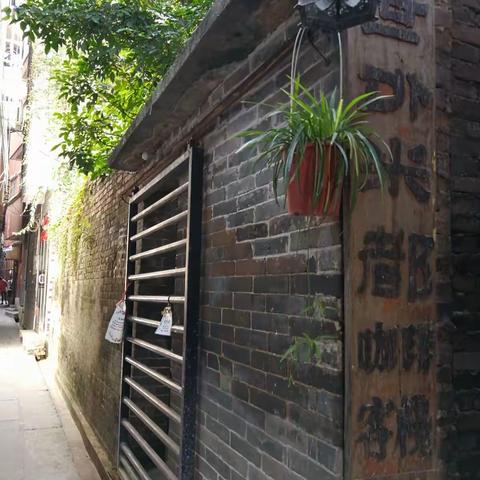 小洲村--世外米都