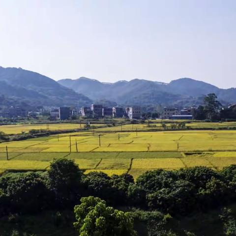 乐尚教育---秋收竞技运动会～亲子游活动报名中