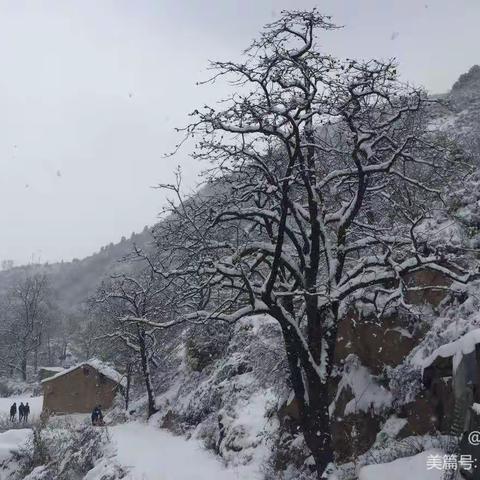  白雪皑皑压峰峦，（诗词）