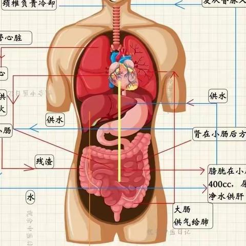 针灸大成笔记