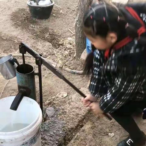 我劳动  我快乐 ——中卫一小二年级学生寒假劳动纪实
