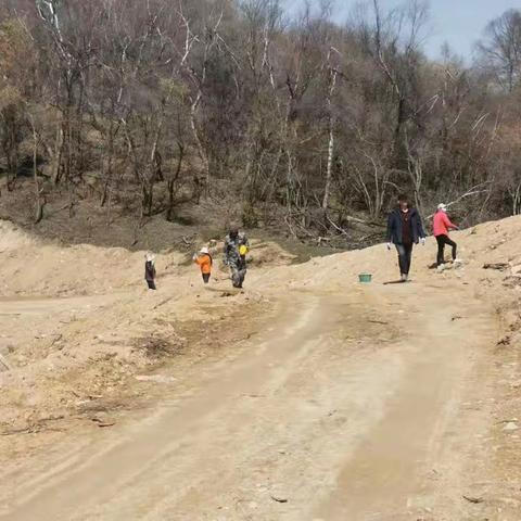 【咸宜关林场】植树增绿，确保关山绿色屏障