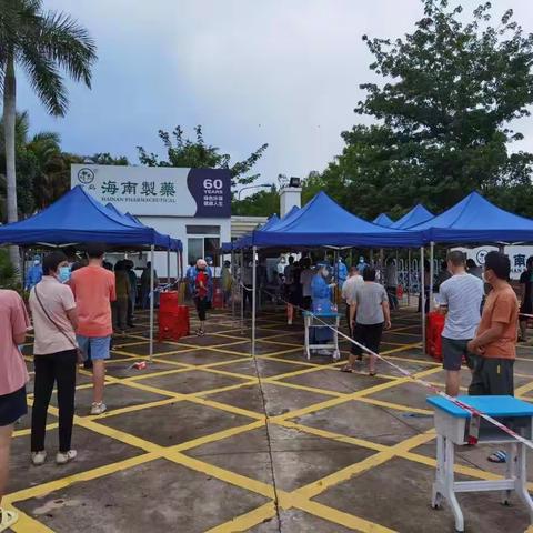 市政务服务中心志愿者投身疫情防控工作 助力全民核酸检测