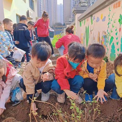 西安市未央区百巧幼儿园中三班本周精彩回顾