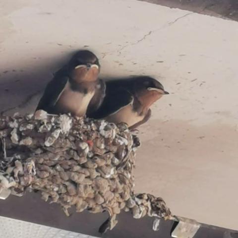 少年有梦   志在四方