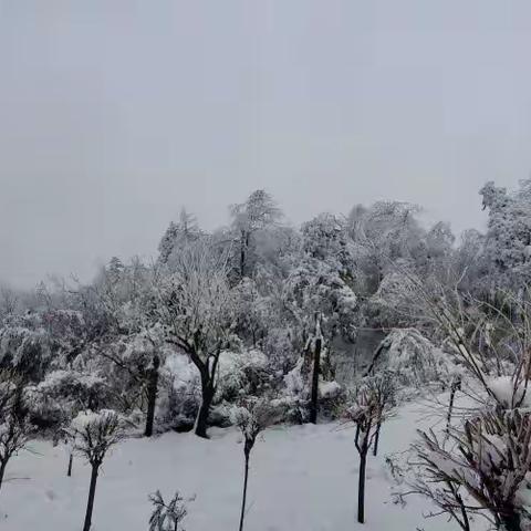 春节四明山一日游……阿拉宁波有雪赛塞北