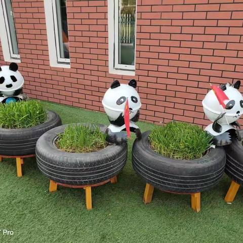 参观青岛西海岸新区石雀滩幼儿园照片分享