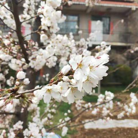 一路前行的美篇