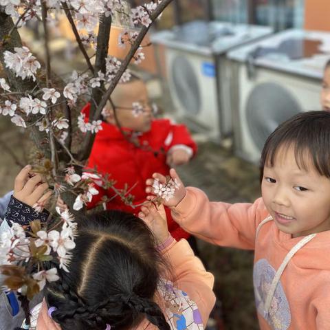 植树节——“我和小树共成长”      小碧新城幼儿园