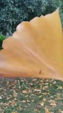 新岁启封    美好常在