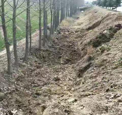 高官寨环卫所整治大桥路