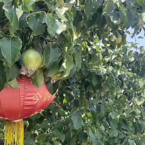 商河县局（营销部）组织开展“喜迎中秋，共享团圆”一家亲主题活动