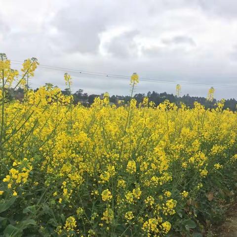 快乐的读书分享会