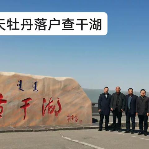 航天牡丹落户查干湖