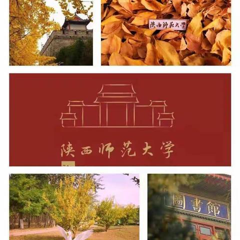 【丝路古都  逐梦前行（三）】---稷山县小学语文骨干教师陕师大学习之旅