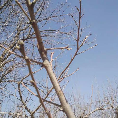 我们一起去寻春！