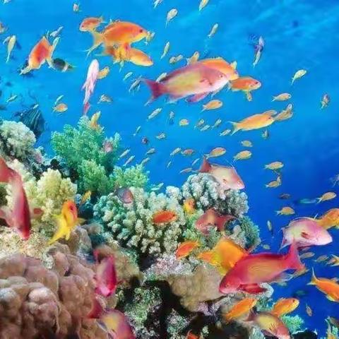 蓝天幼儿园六一儿童节极地海洋世界亲子游邀请函