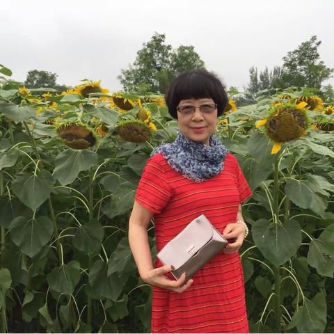 2018.07.10与美女奶奶相约再赏奥森百亩葵花🌻园，而后又去观赏荷花。奶奶美女们美美哒拍嗨啦！