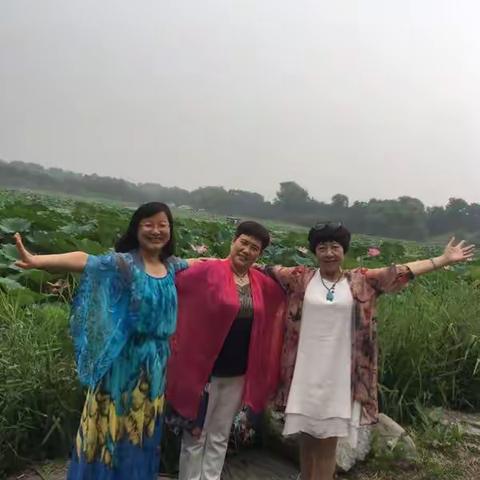 2017年8月20日与同事好朋友相约来到圆明园一起赏荷花