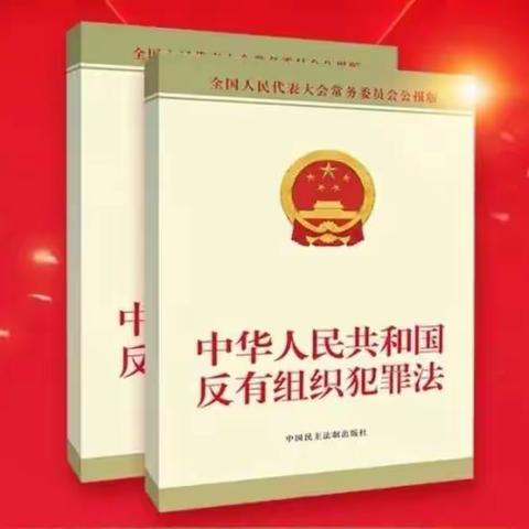 一张图看懂《中华人民共和国反有组织犯罪法》