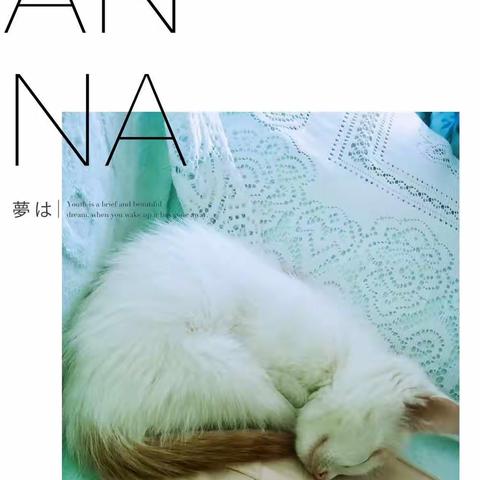 看我睡姿百变～喵～喵～