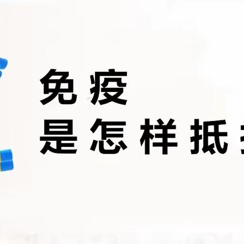 免疫是怎样抵抗病毒的