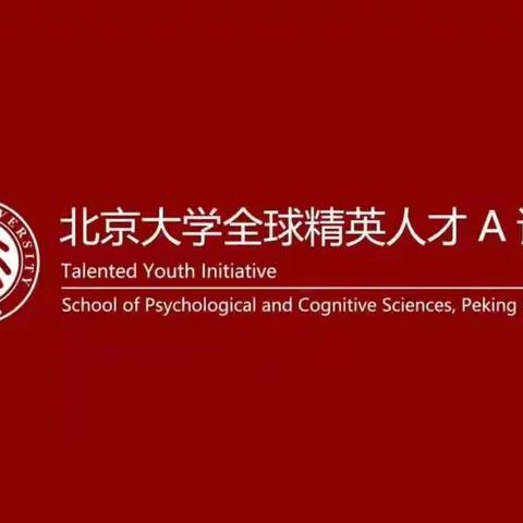 发现优秀，培养卓越—北京大学全球精英人才A计划