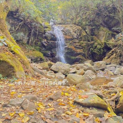 初冬暖阳去宁国！古道/顶峰/瀑布/山水间自驾、团建