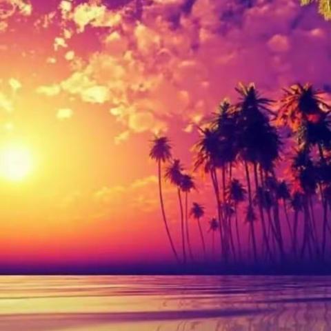 紫沁漫香：杜惠雯的美篇